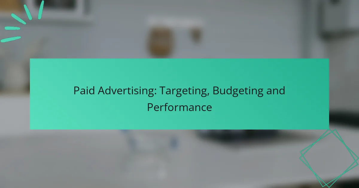 Paid Advertising: Targeting, Budgeting and Performance