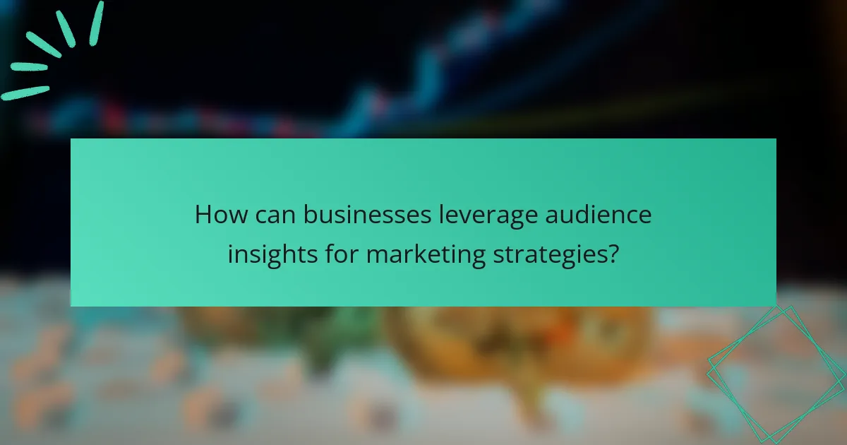 How can businesses leverage audience insights for marketing strategies?