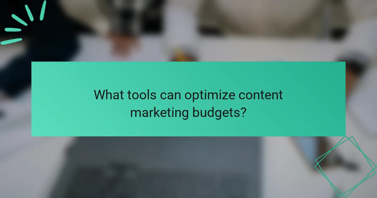 What tools can optimize content marketing budgets?